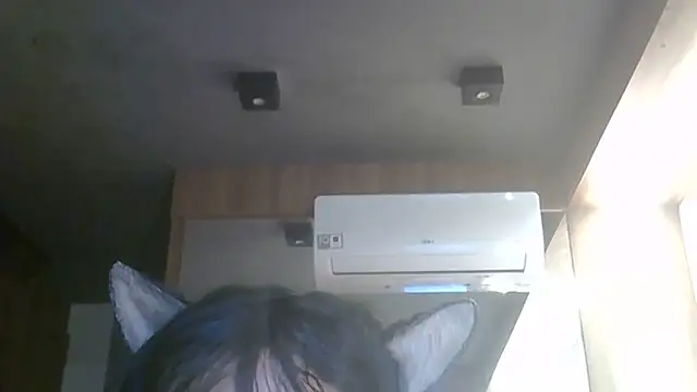 SkinnyKitten webcam