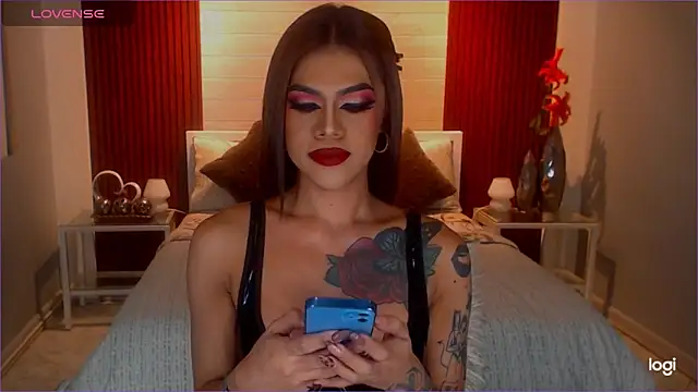 StellaStrong30 webcam