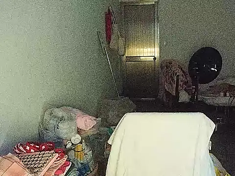 RebelAura webcam