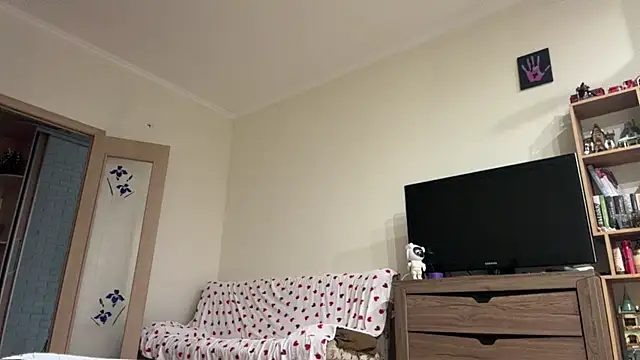PaintedDisplay