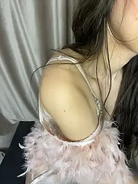 SinKit webcam
