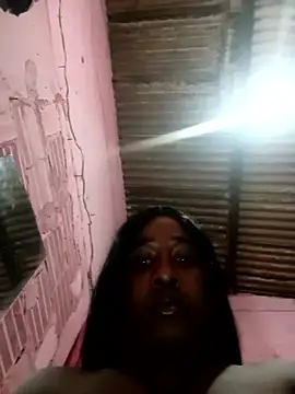Hellentrans24 live cam