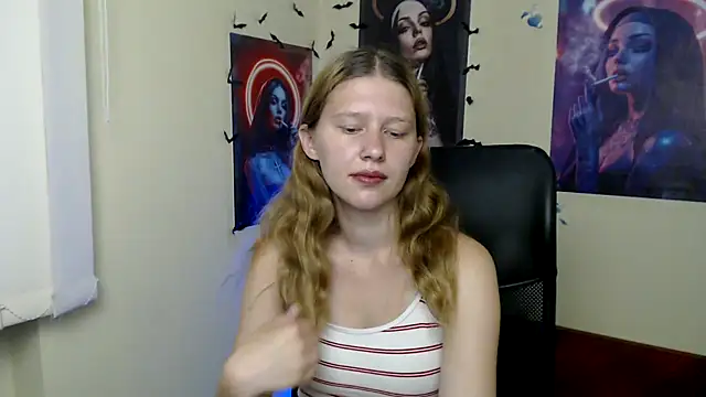 StellaCRL webcam