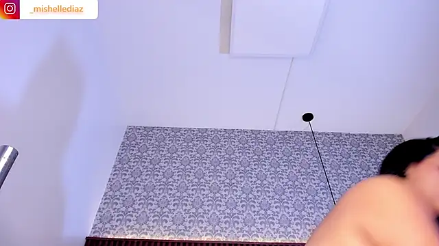 _mishelle webcam