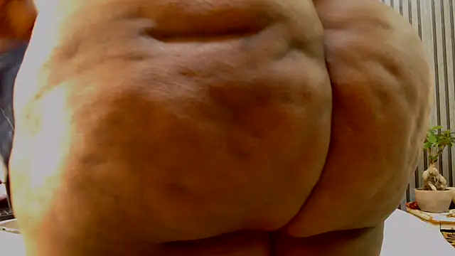 ROYALASS25 webcam