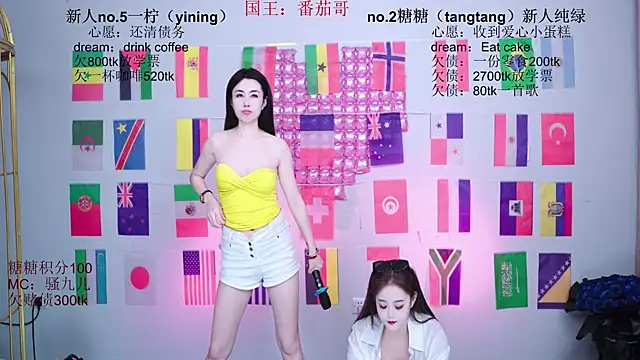 CCTW-100 webcam