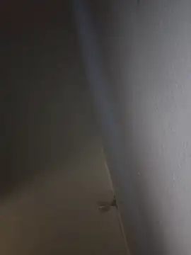 bigdick211292 webcam