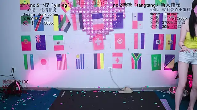 CCTW-100 webcam
