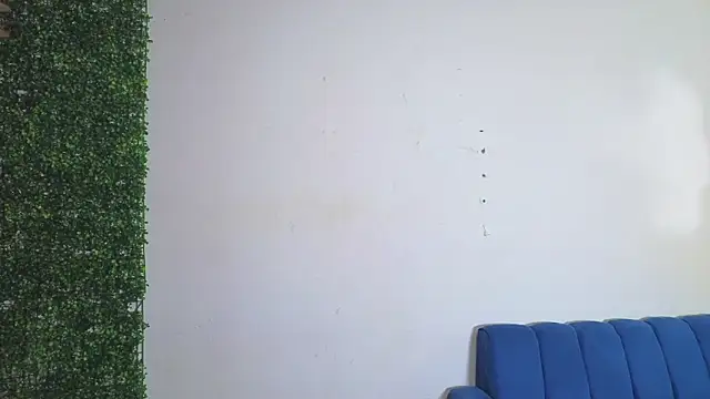 Demitryo webcam