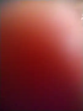 Xaviervtg live cam