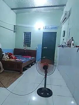 Logii_x webcam