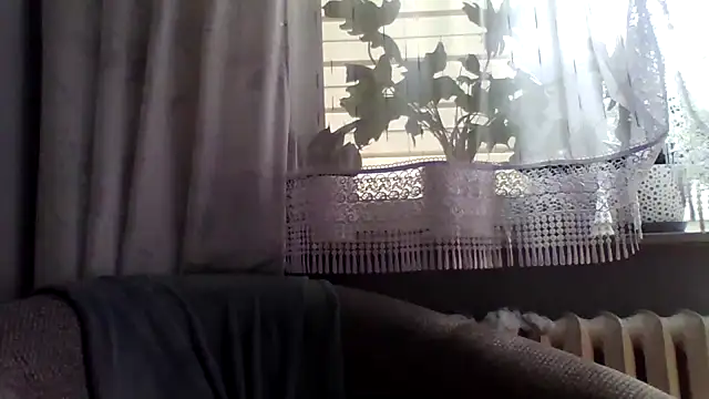 grzes19763 webcam