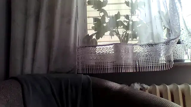 grzes19763 webcam