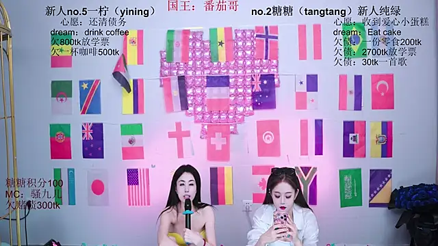 CCTW-100 webcam