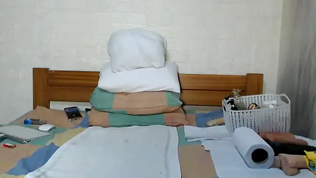 awild_kitten webcam