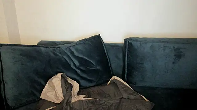 Lina-XD webcam