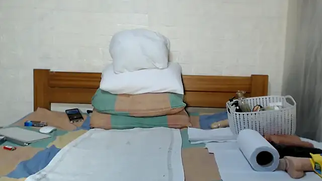 awild_kitten webcam