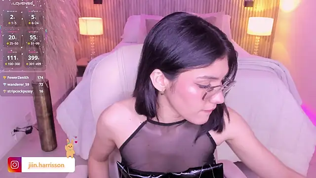 Jin-harrison webcam