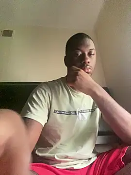ThickDic28 webcam
