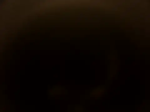 Paula-Maunder webcam
