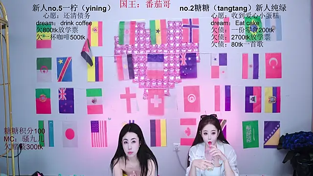 CCTW-100 webcam