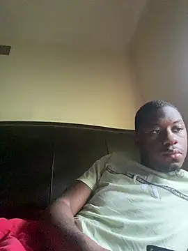 ThickDic28 webcam