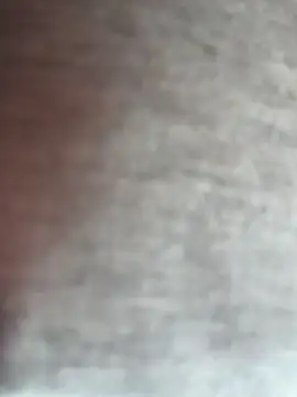 -Straycat- webcam