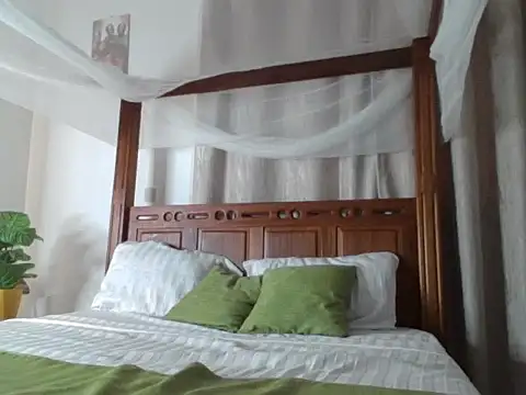 Blooming_Spark_ webcam
