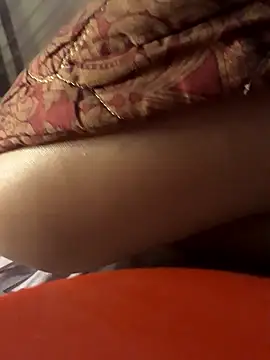 -Tara-a webcam