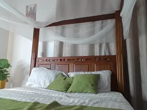 Blooming_Spark_ webcam