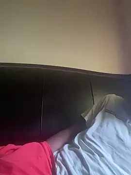 ThickDic28 webcam