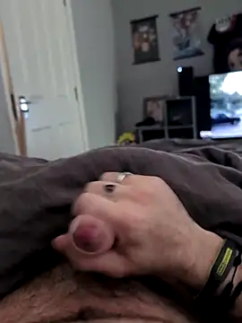 TriforceSteve webcam