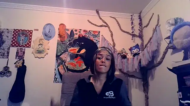 BlueStoneX webcam