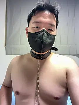 wolfdogwip