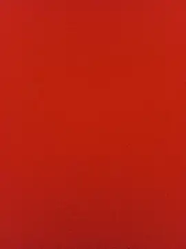 pplink webcam