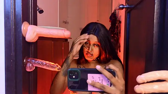 lanemugler webcam