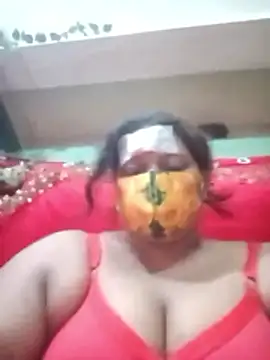 Toma-54 webcam