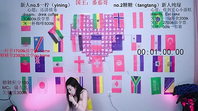 CCTW-100 webcam
