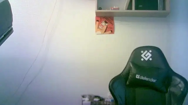 SirAbuser webcam