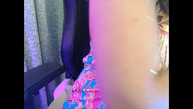 Model29 webcam