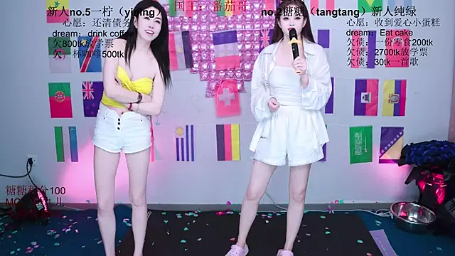 CCTW-100 webcam