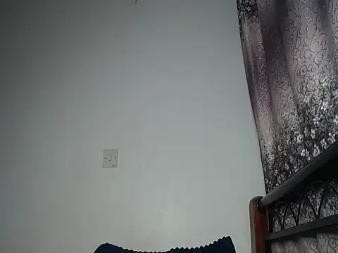 Whimsicalwillow webcam