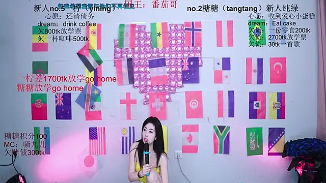 CCTW-100 webcam