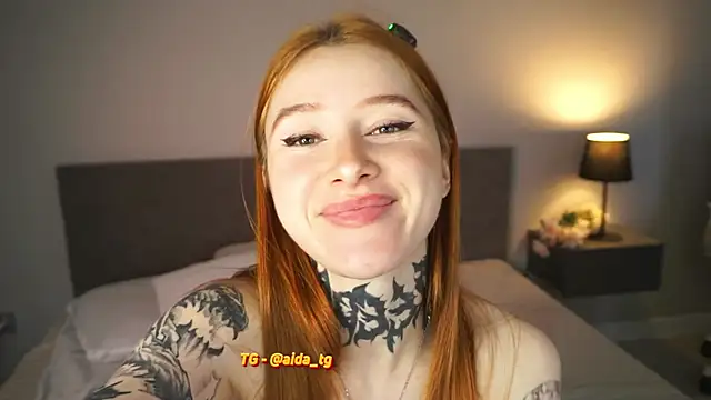 aidaha webcam