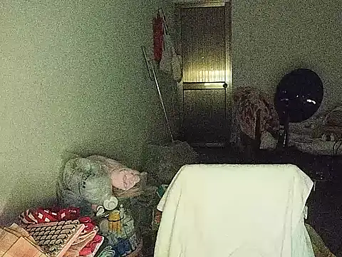 RebelAura webcam