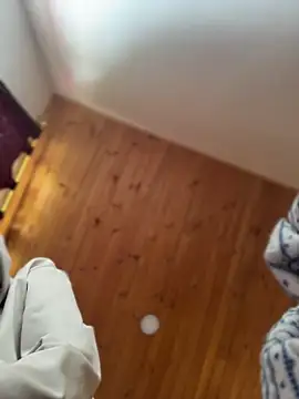 BearBigDick_ webcam