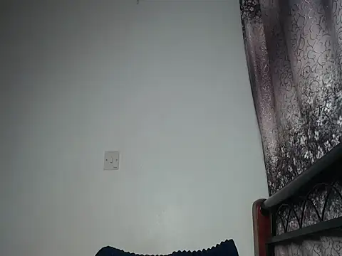 Whimsicalwillow webcam
