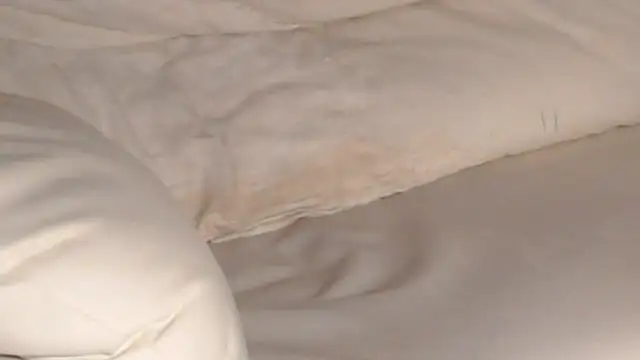 TightAssMom webcam