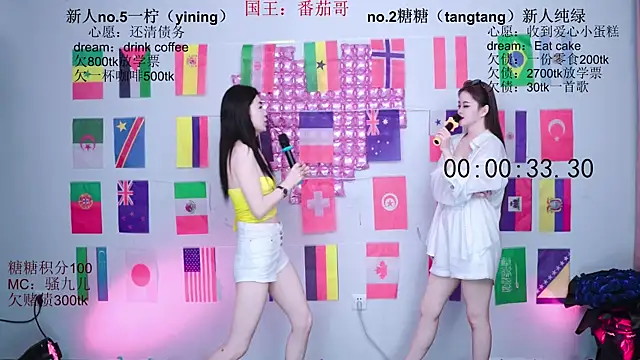 CCTW-100 webcam