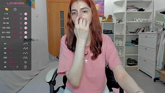 broosnica1 webcam